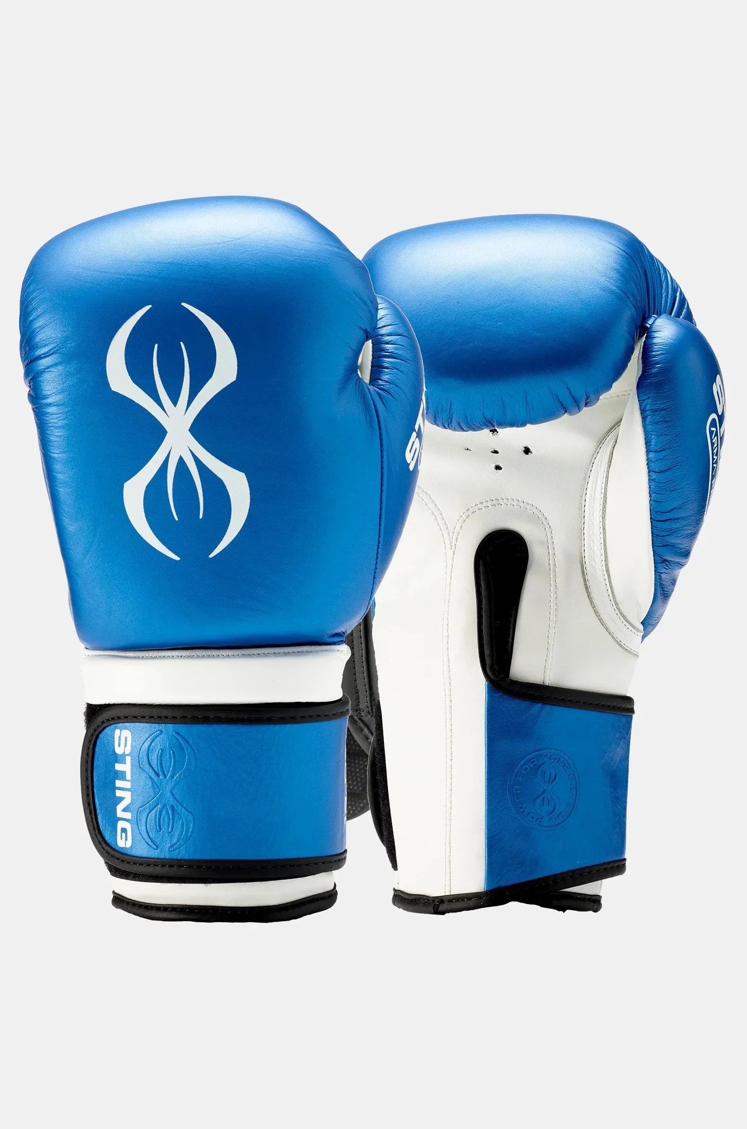 Armapro Boxing Gloves