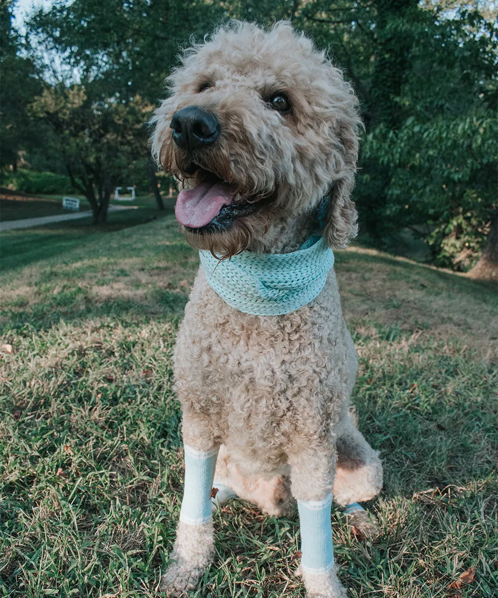 Dog Leg Warmers - Blue