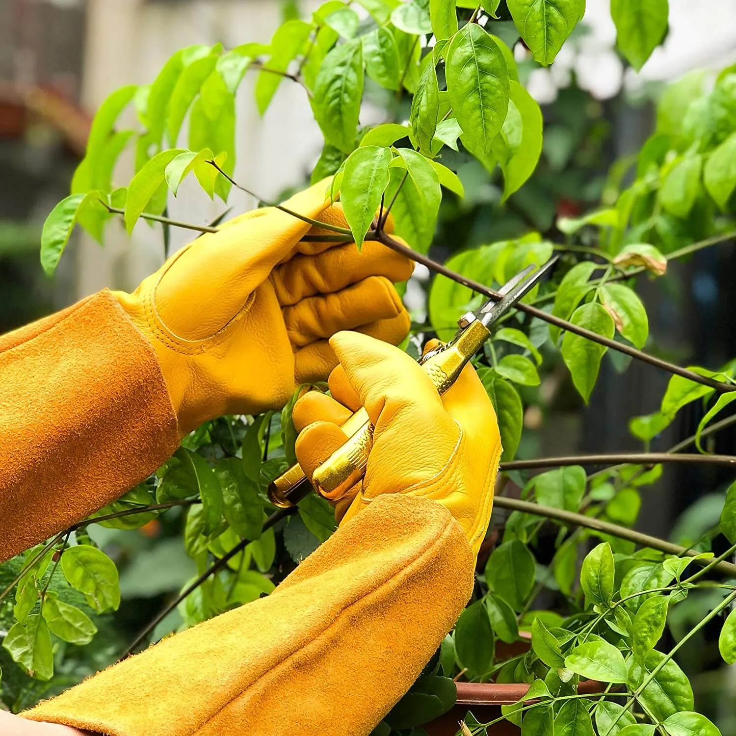 Long Gardening Gloves - Thorn Proof Rose Pruning Gloves