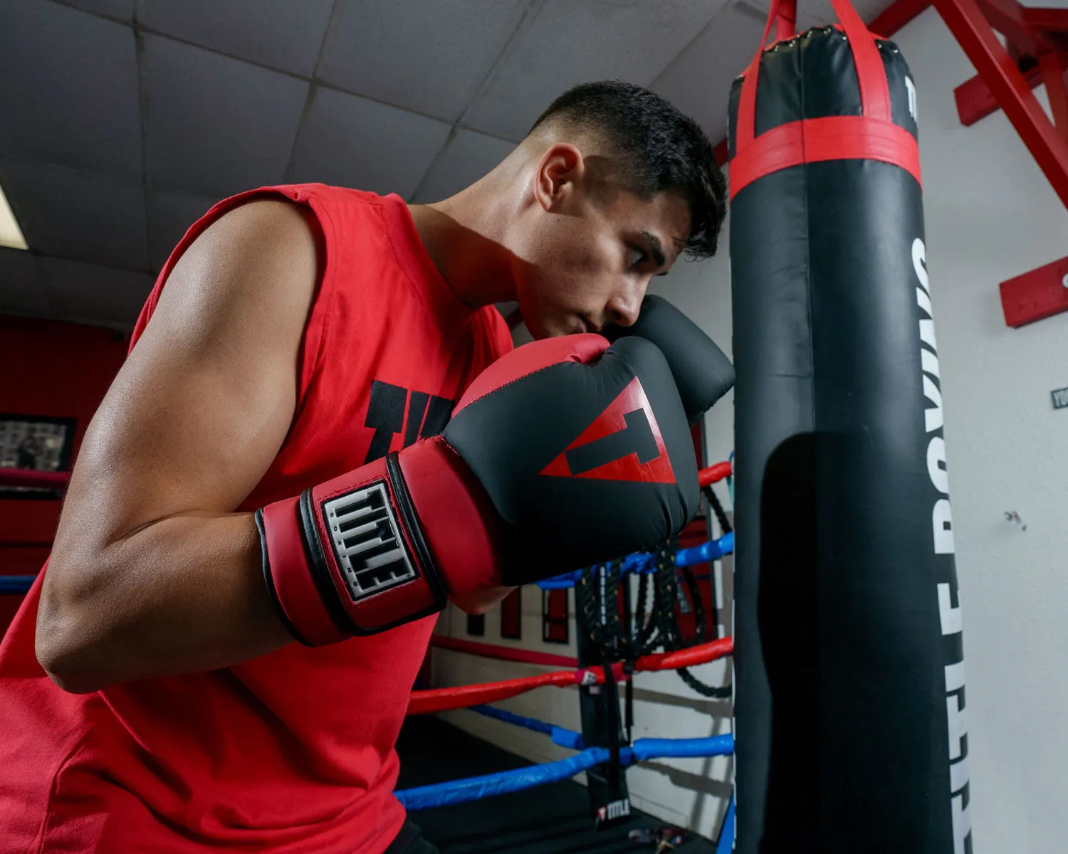 TITLE Boxing Guts and Glory Bag Gloves