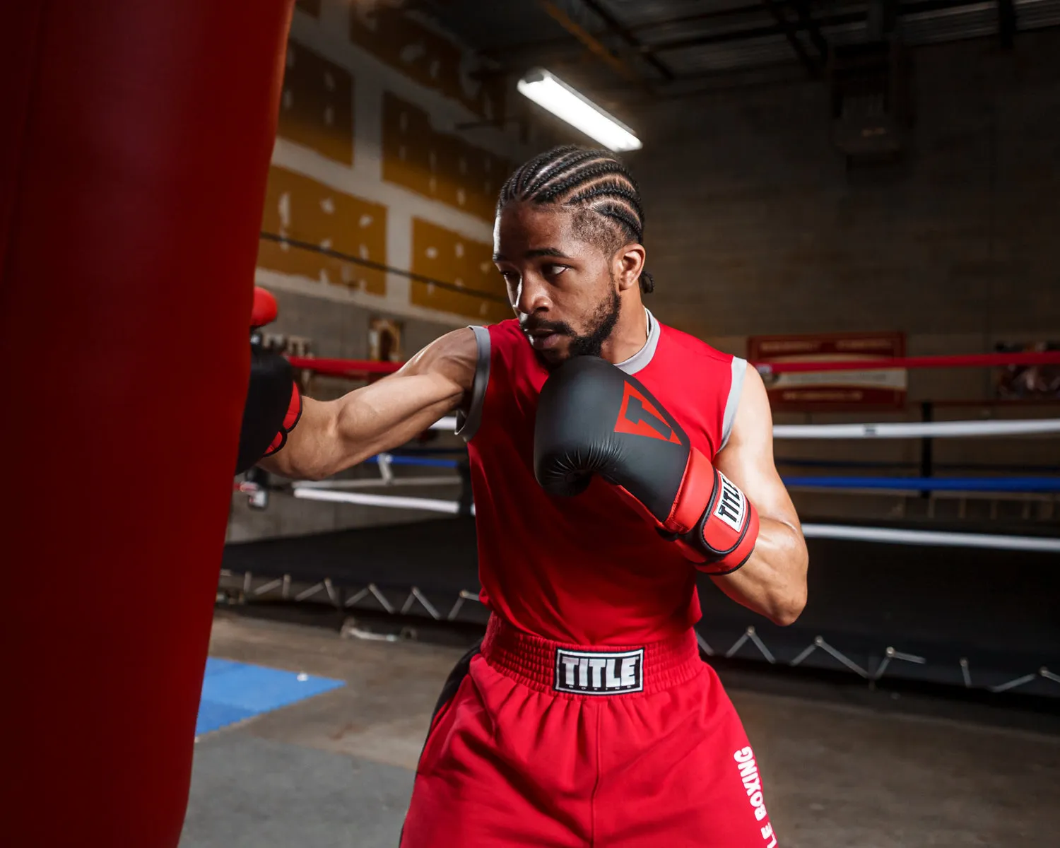 TITLE Boxing Guts and Glory Bag Gloves